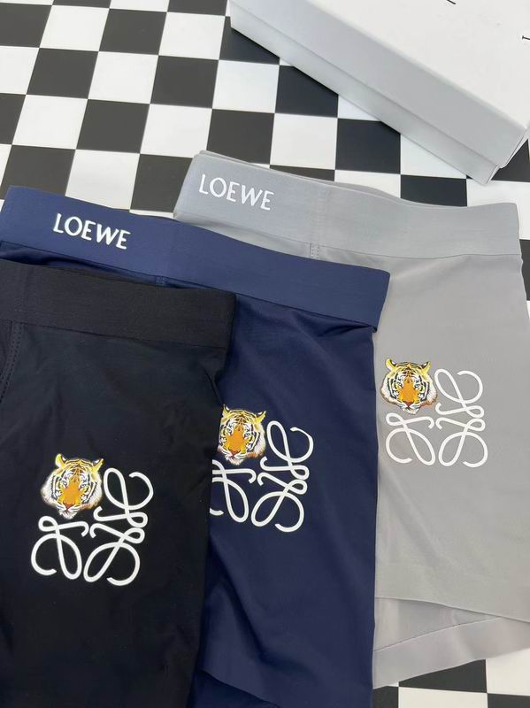 Loewe boxer L-3XL  (4)