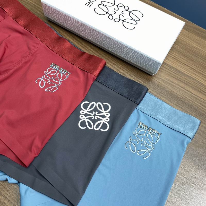 Loewe boxer L-3XL  (4)