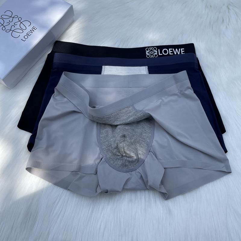 Loewe boxer L-3XL  (4)
