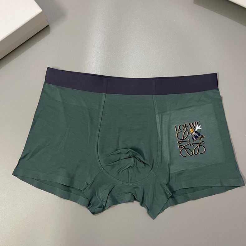 Loewe boxer L-3XL  (4)