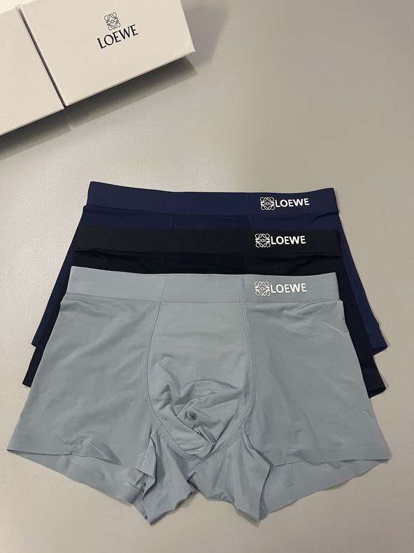 Loewe boxer L-3XL  (4)