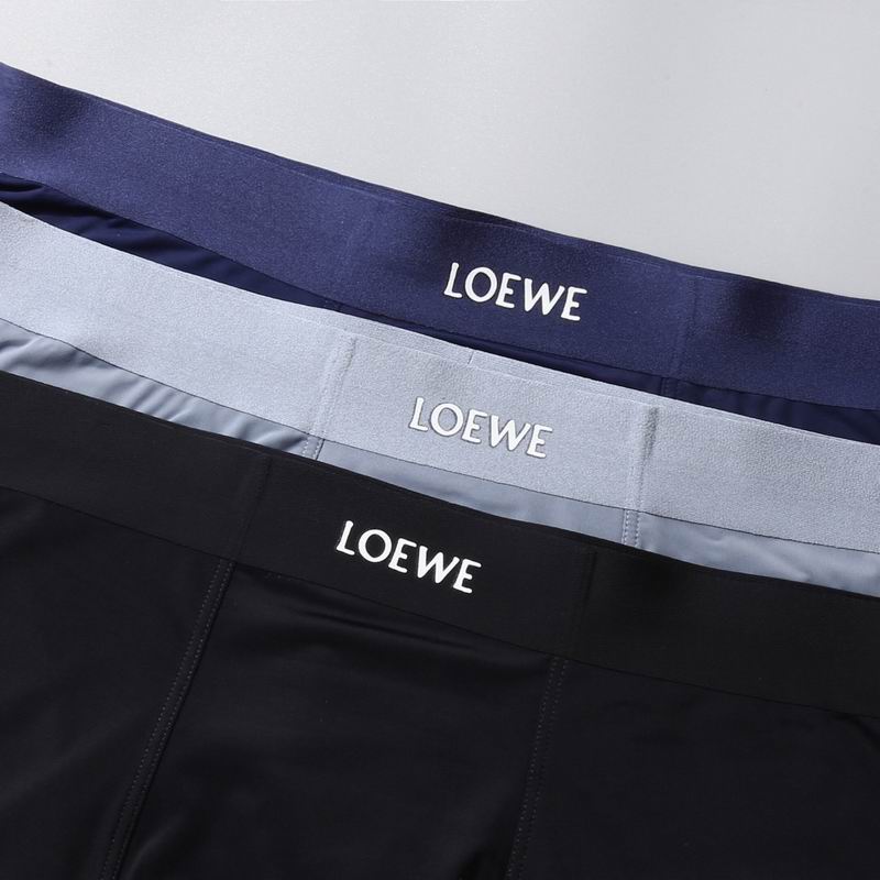 Loewe boxer L-3XL  (5)