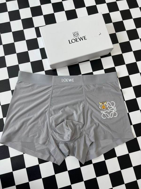 Loewe boxer L-3XL  (5)
