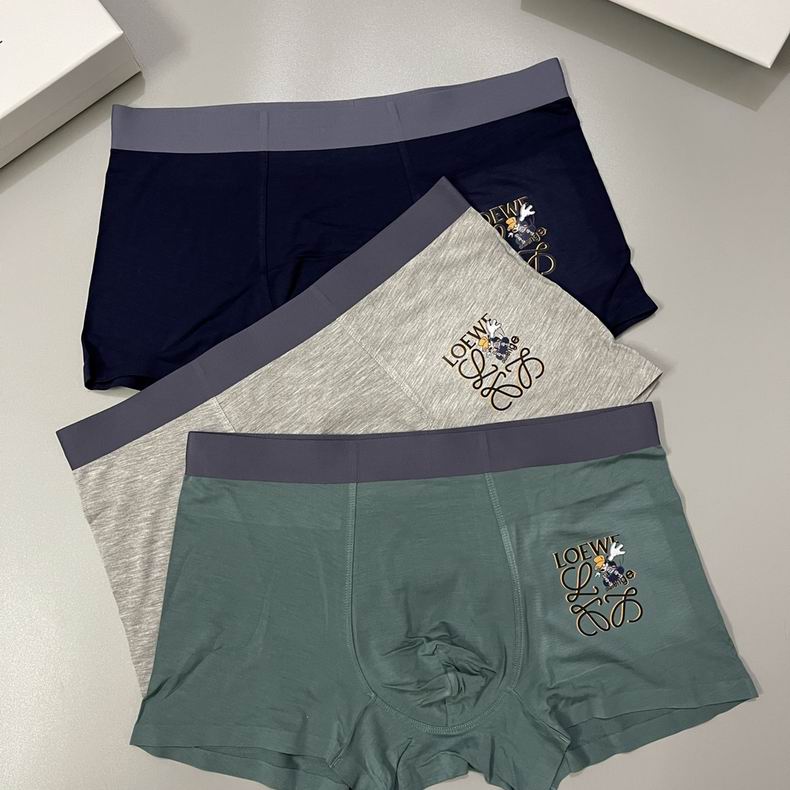 Loewe boxer L-3XL  (5)