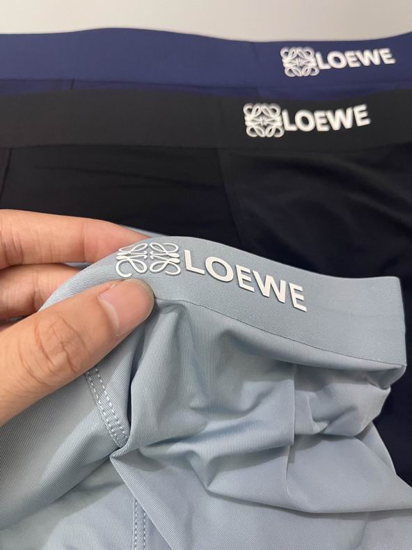 Loewe boxer L-3XL  (5)