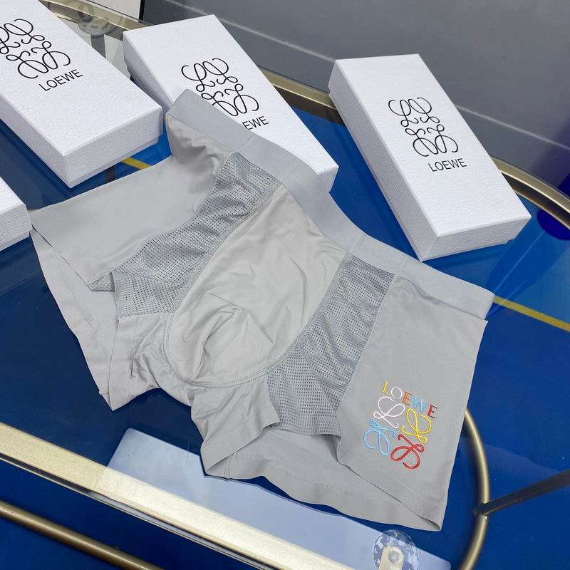 Loewe boxer L-3XL  (6)