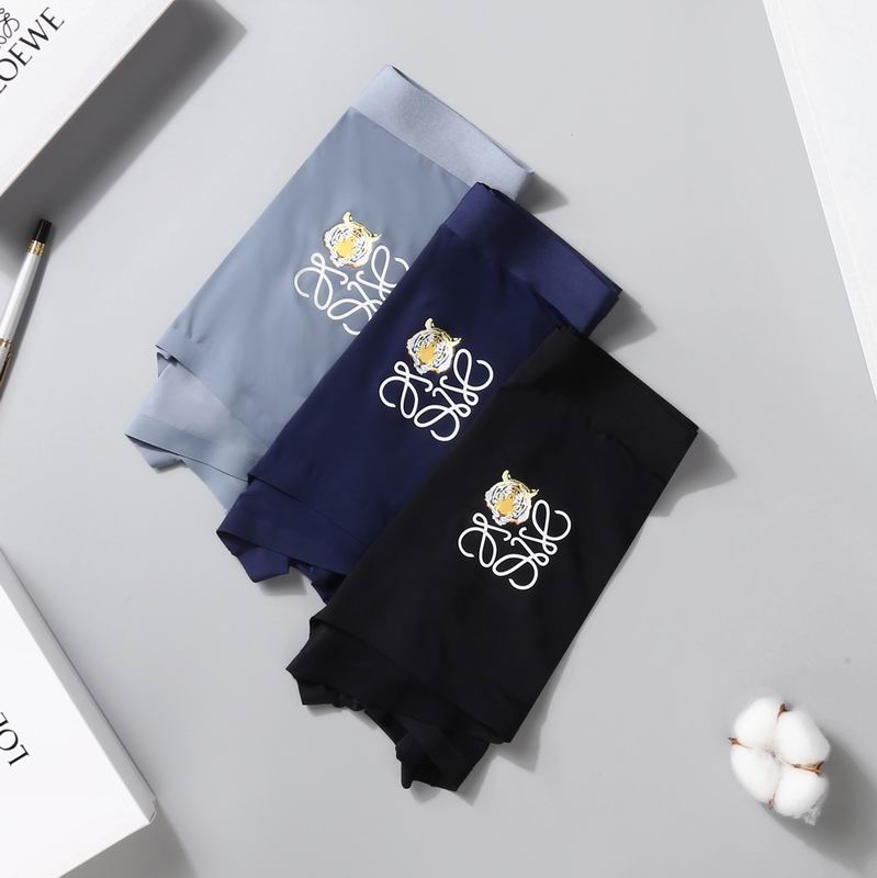 Loewe boxer L-3XL  (6)