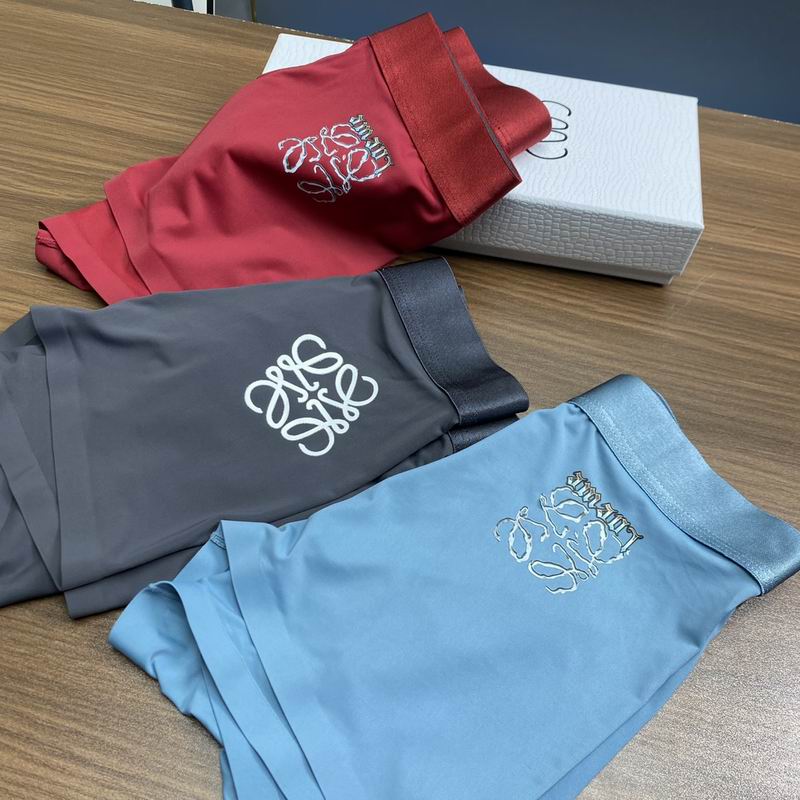 Loewe boxer L-3XL  (6)