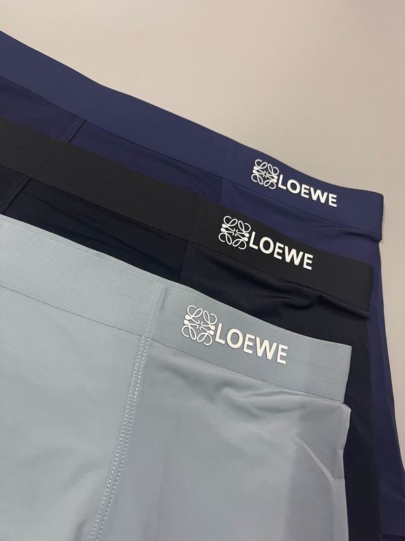 Loewe boxer L-3XL  (6)