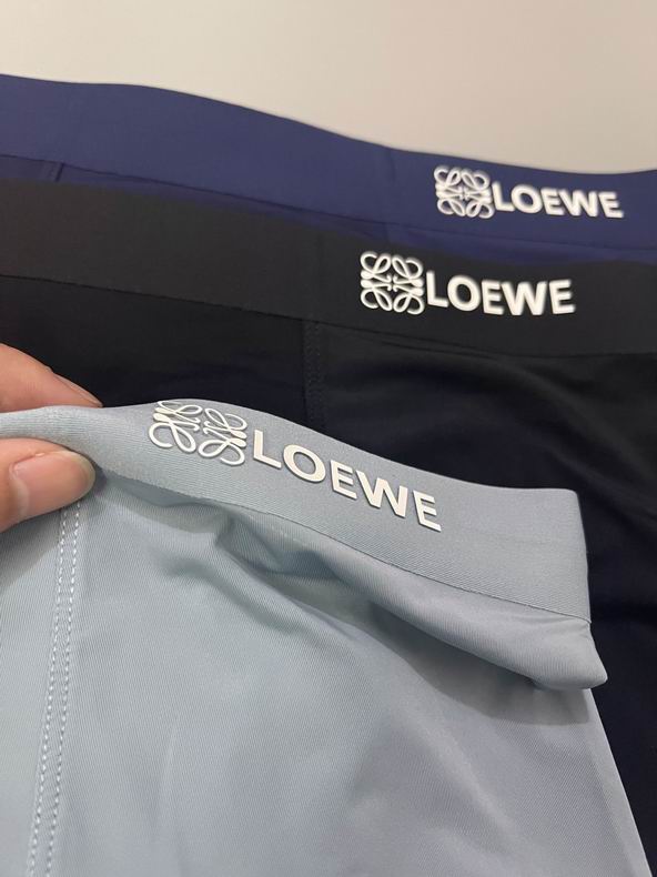 Loewe boxer L-3XL  (7)