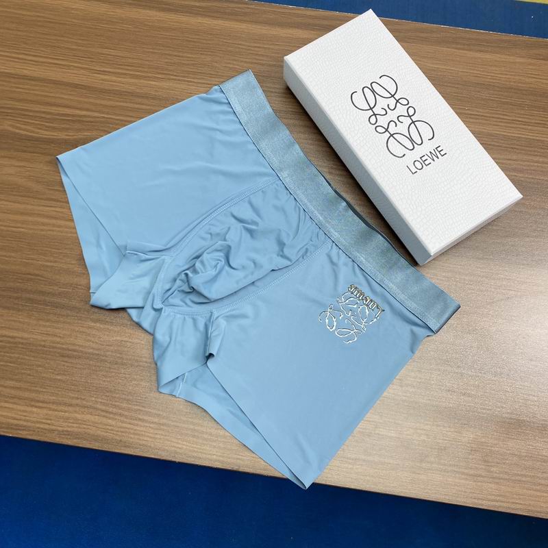 Loewe boxer L-3XL  (8)