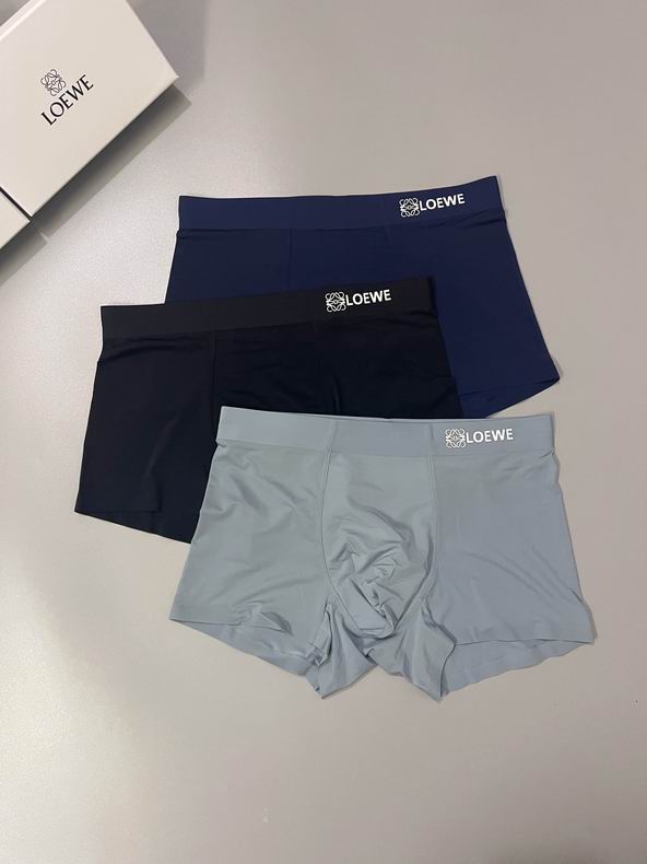 Loewe boxer L-3XL  (8)