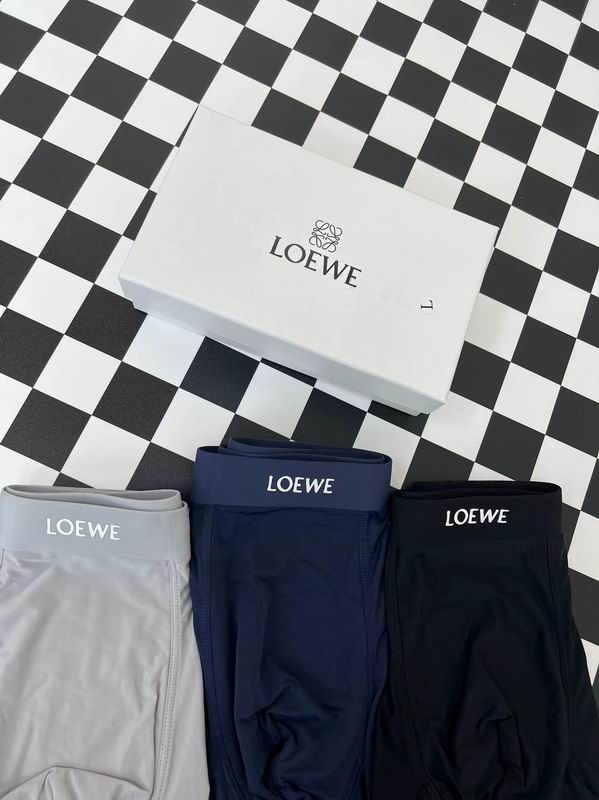 Loewe boxer L-3XL  (9)