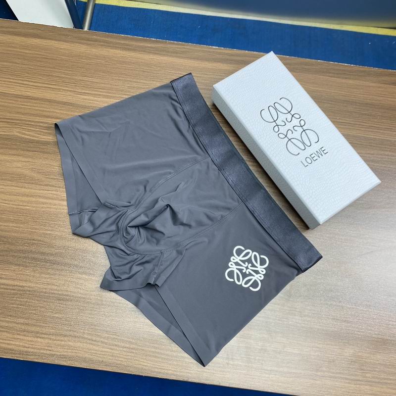 Loewe boxer L-3XL  (9)