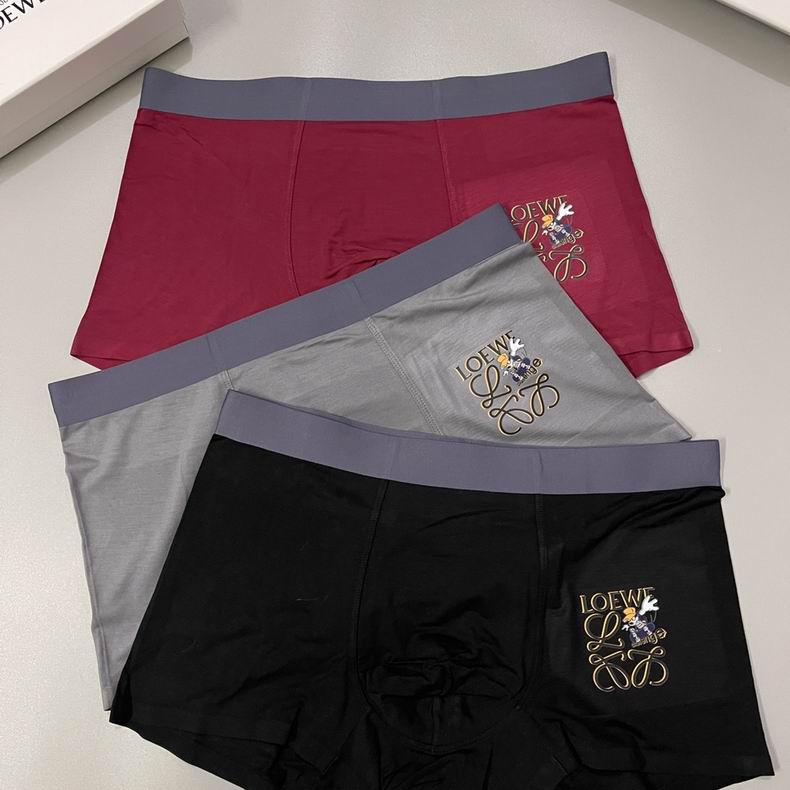 Loewe boxer L-3XL  (9)