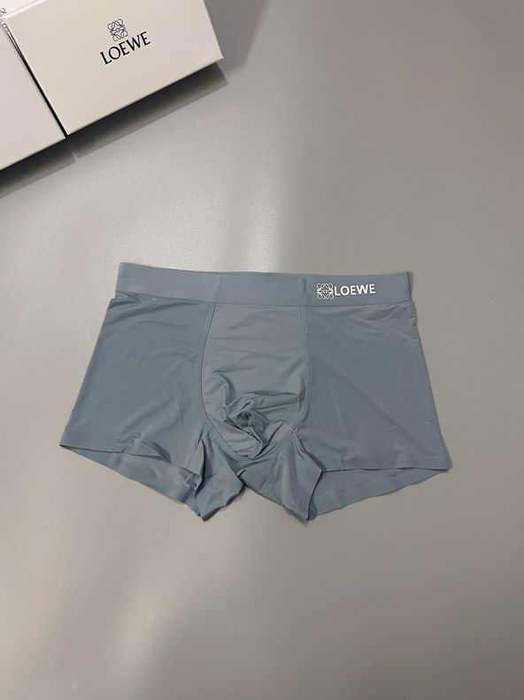 Loewe boxer L-3XL  (9)