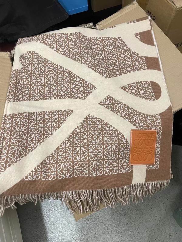 Loewe scarf 130X140cm E01 (21)