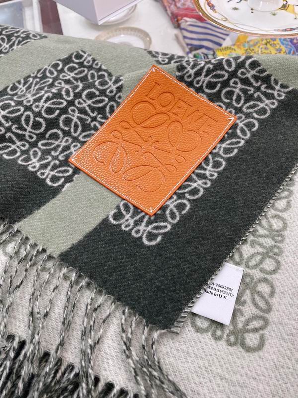 Loewe scarf 130X140cm E01 (30)