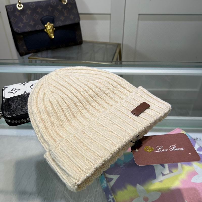 Loro Piana Hat dx (1063)