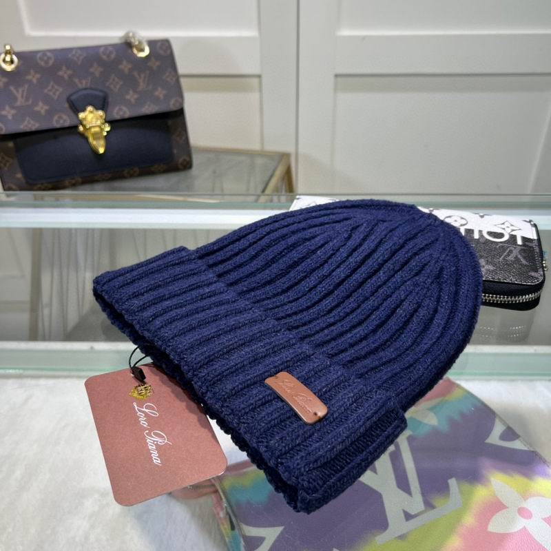 Loro Piana Hat dx (1069)