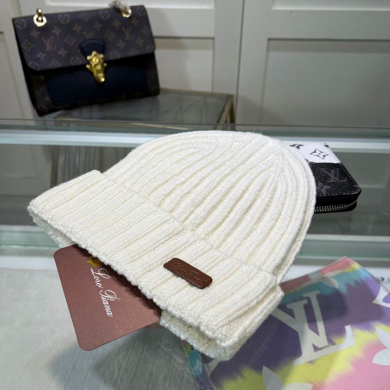 Loro Piana Hat dx (1072)