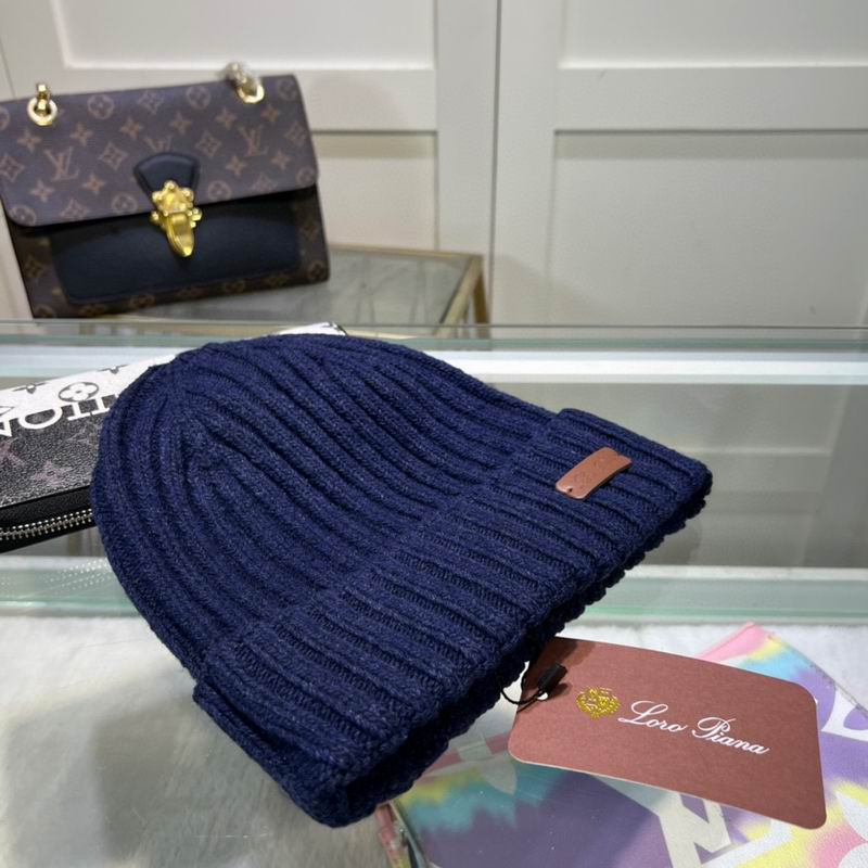 Loro Piana Hat dx (1074)