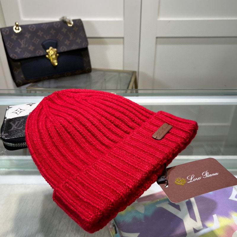 Loro Piana Hat dx (1079)