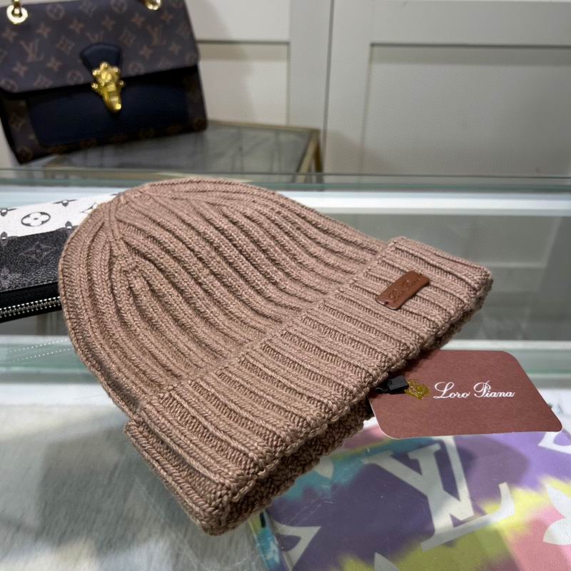 Loro Piana Hat dx (1089)