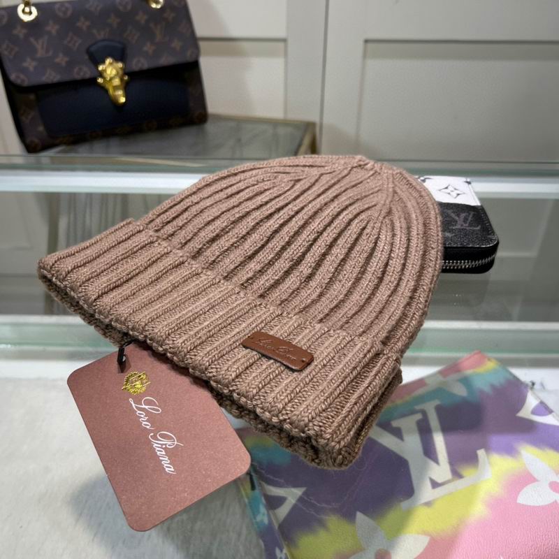 Loro Piana Hat dx (1090)