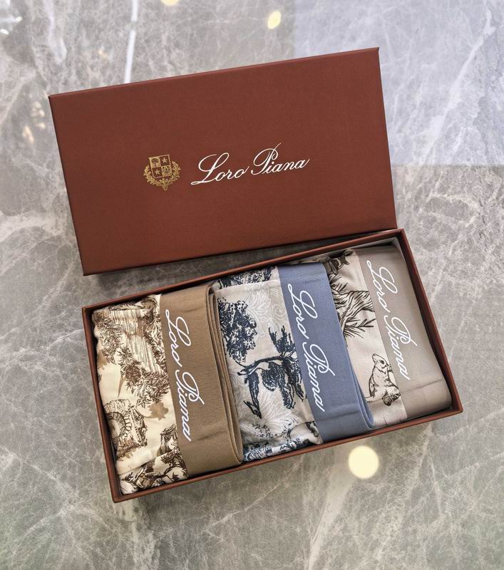 Loro Piana boxer L-4XL 06 (1)