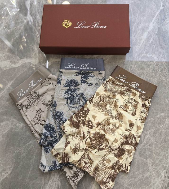 Loro Piana boxer L-4XL 06 (2)