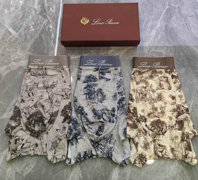 Loro Piana boxer L-4XL 06 (3)