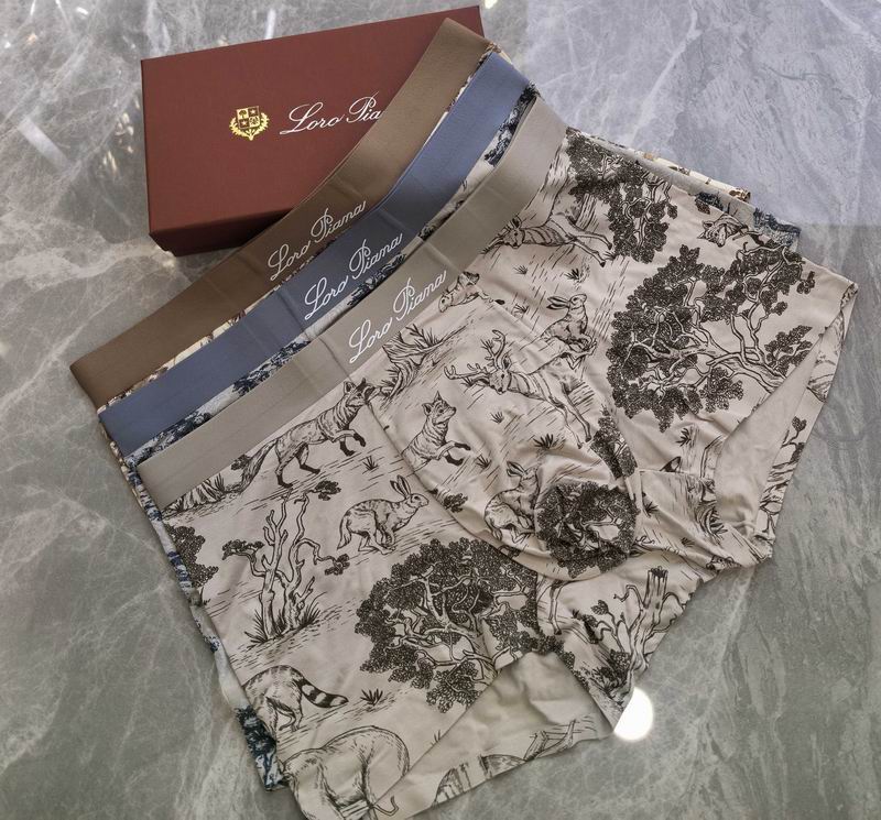 Loro Piana boxer L-4XL 06 (4)