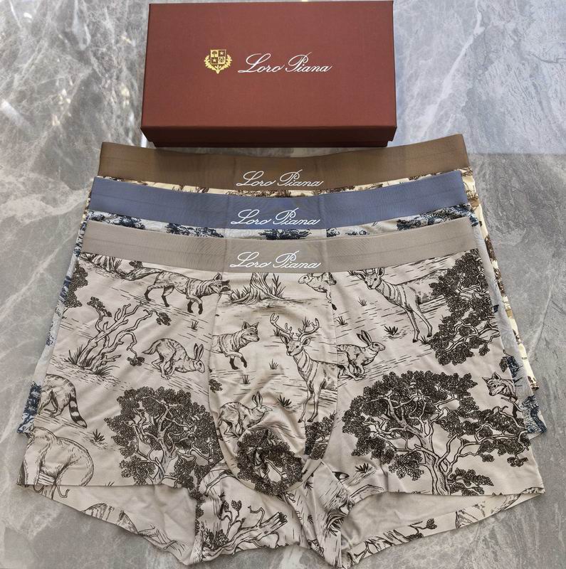 Loro Piana boxer L-4XL 06 (5)