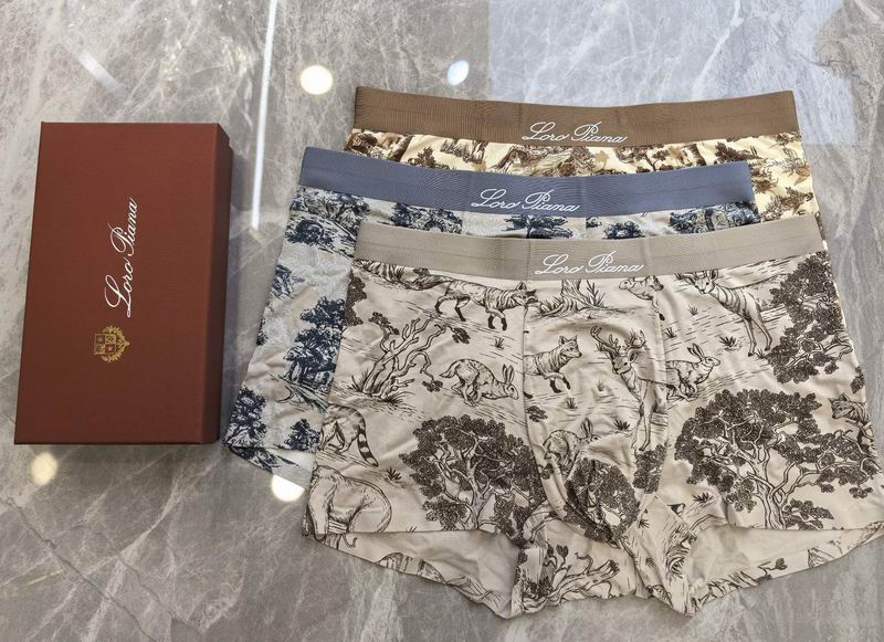 Loro Piana boxer L-4XL 06 (6)