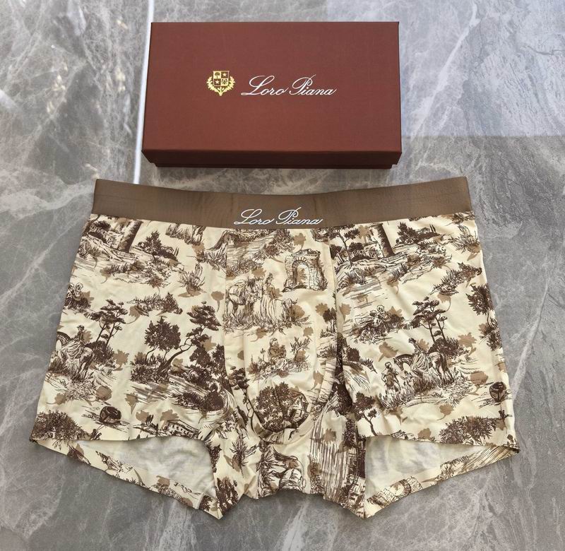 Loro Piana boxer L-4XL 06 (7)