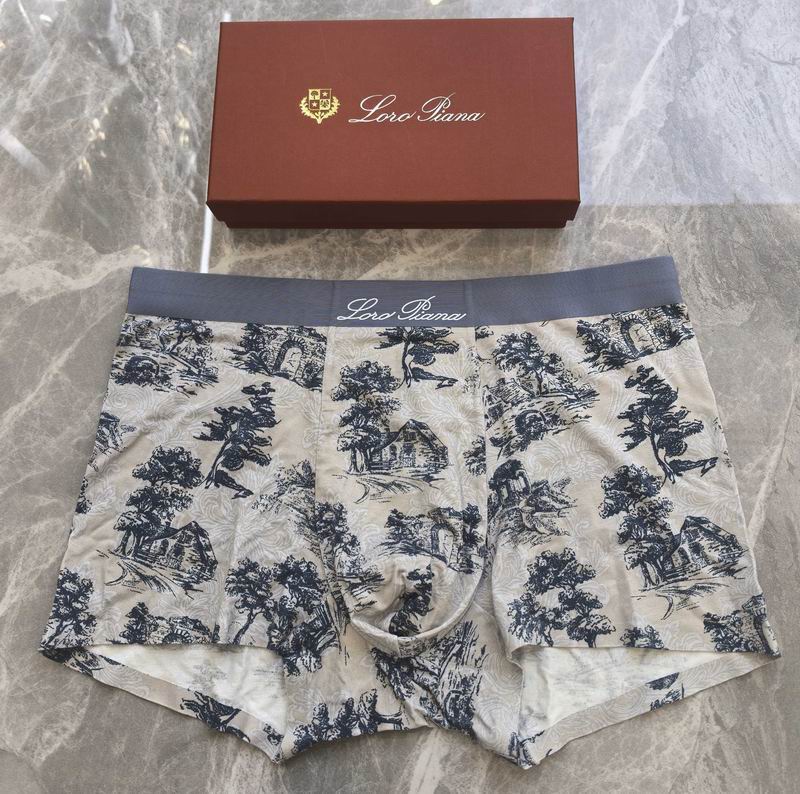 Loro Piana boxer L-4XL 06 (8)