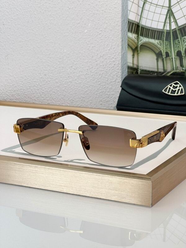 Maybach Glasses 08smh16 (4)