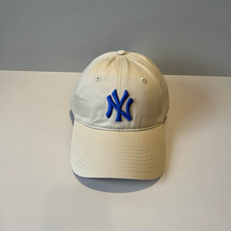 NY Cap dx (2974)