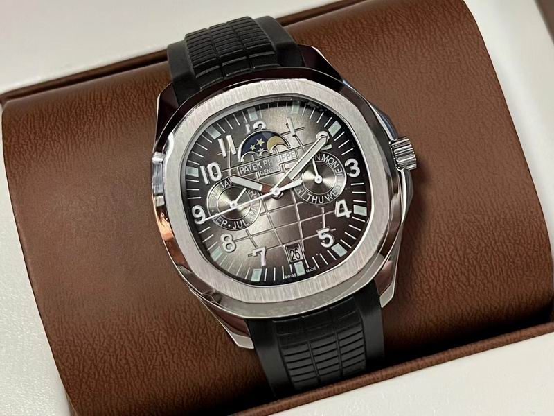 Patek Philippe watch 79 (11)