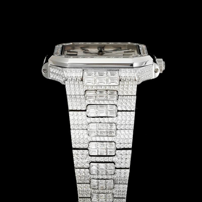 Patek Phillipe watch 22 (14)