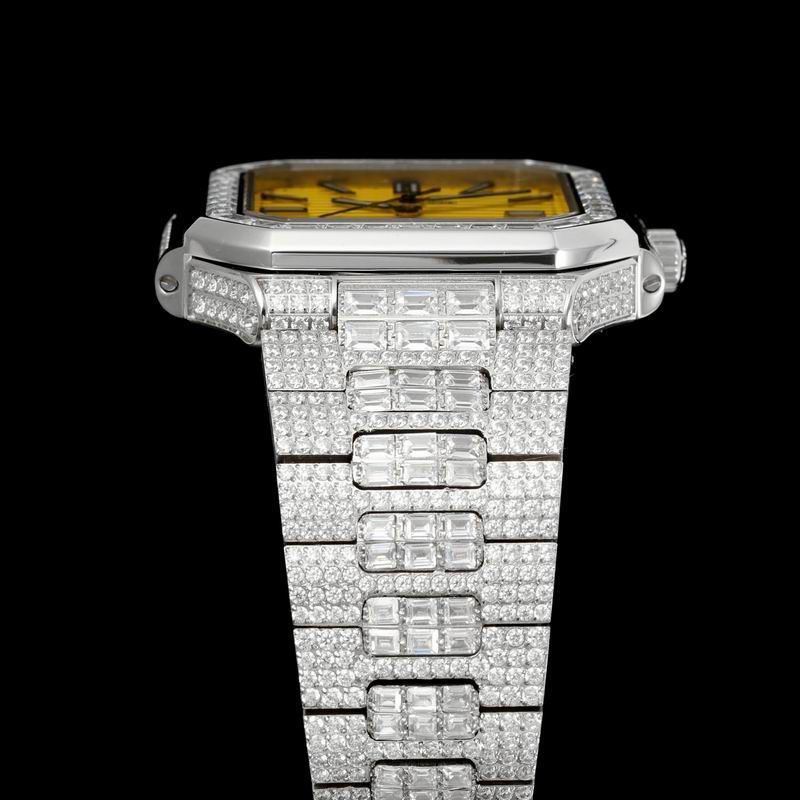 Patek Phillipe watch 22 (5)