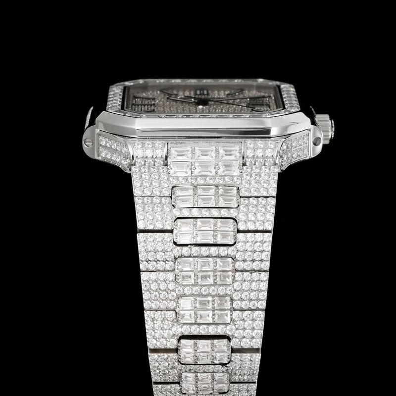 Patek Phillipe watch 23 (14)