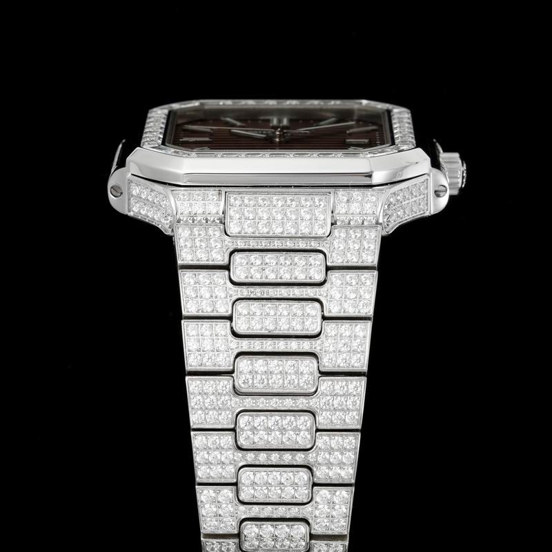 Patek Phillipe watch 24 (14)