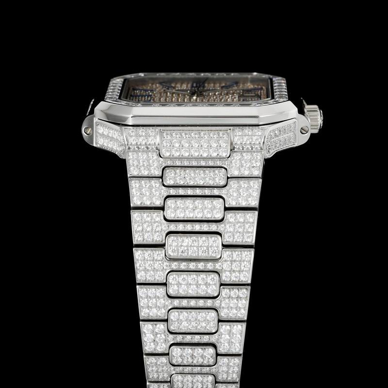 Patek Phillipe watch 27 (5)