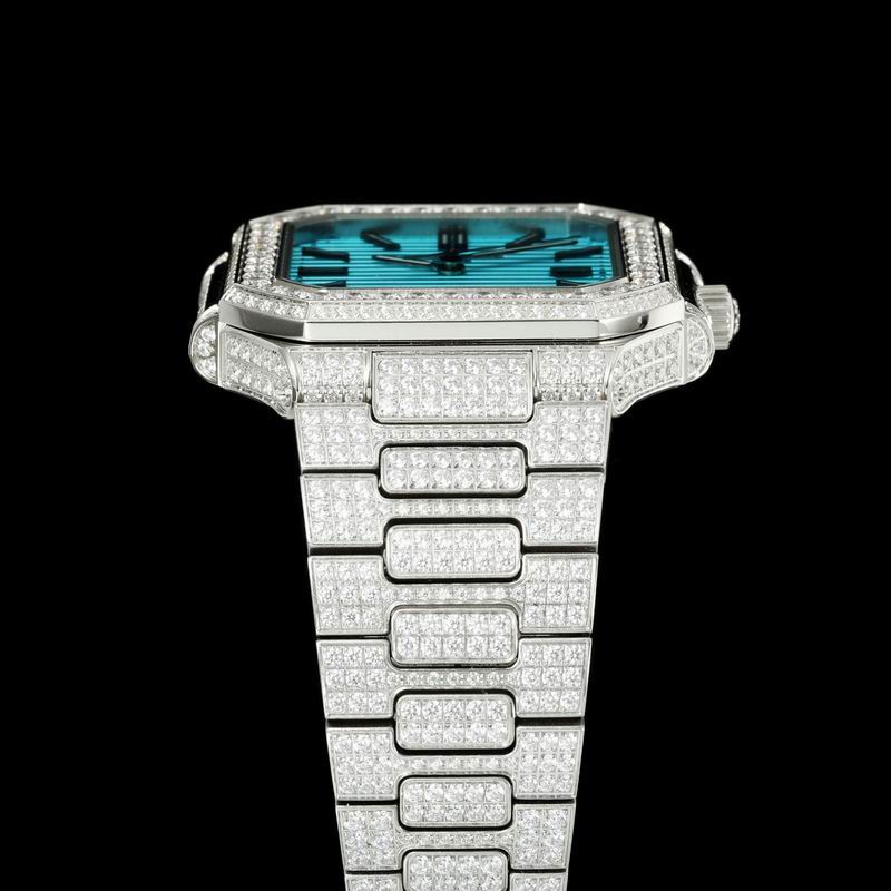 Patek Phillipe watch 28 (41)