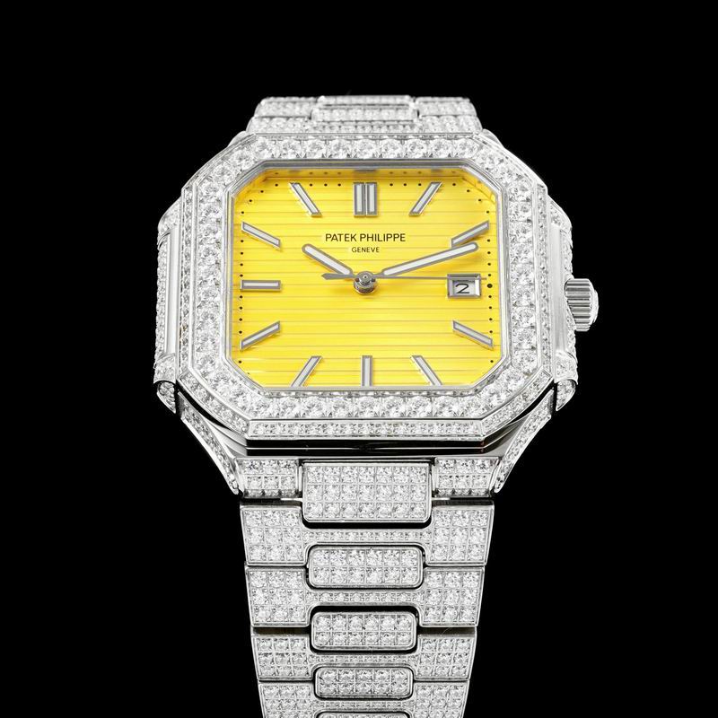 Patek Phillipe watch 28 (69)