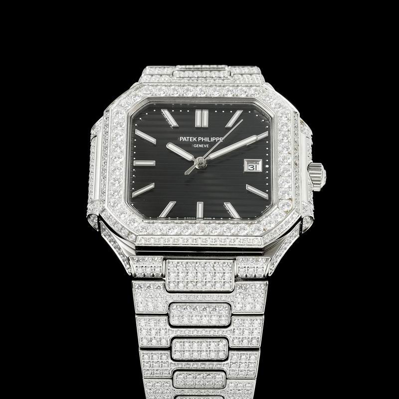 Patek Phillipe watch 28 (78)