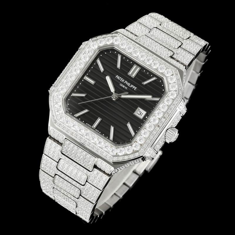 Patek Phillipe watch 28 (79)