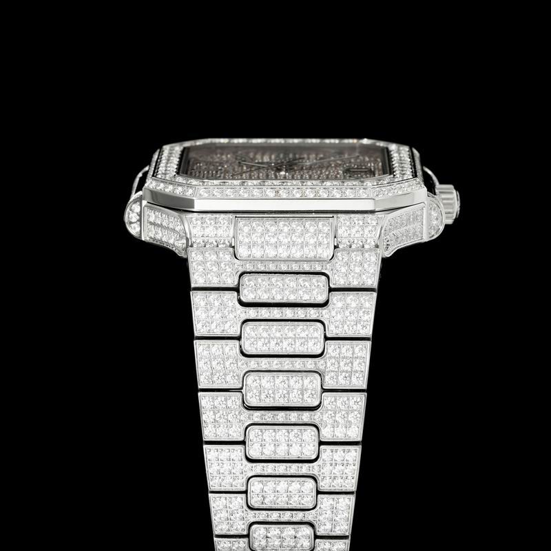 Patek Phillipe watch 29 (14)